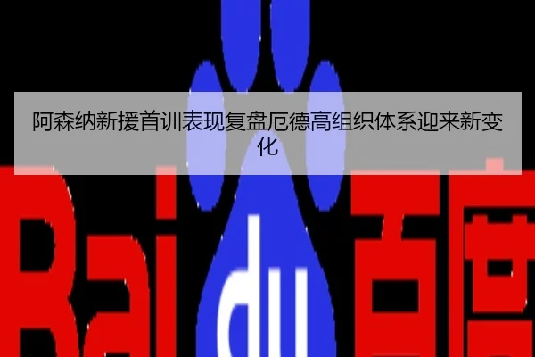 阿森纳新援首训表现复盘厄德高组织体系迎来新变化